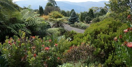 Botanic Garden, Mount Tomah