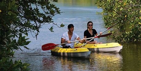 Mangroves Kayak
