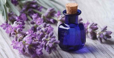 Lavender Balance Care