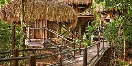 Rainforest Spa 
