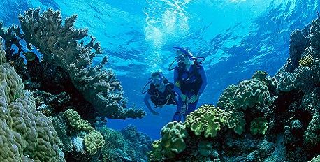 Grenada Scuba Diving