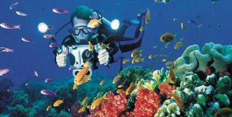 Fiji Scuba Diving 