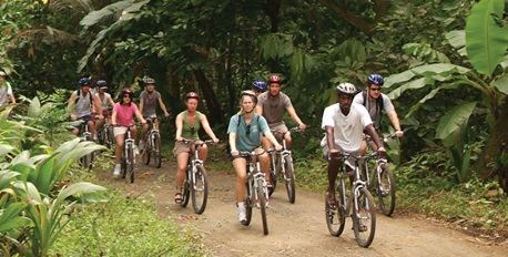 Rainforest Cycling Adventure
