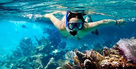 Snorkelling and Diving
