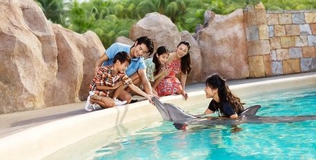 Dolphin Island