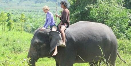 Elephant Owner For A Day