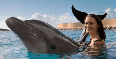 Swim or Dive with Dolphins