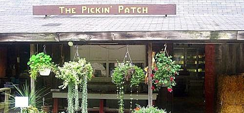 The Pickin Patch