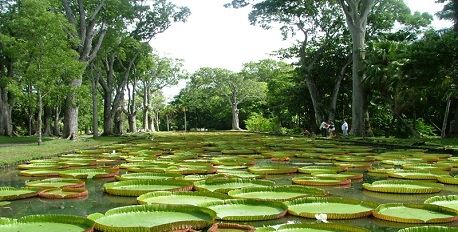 Dar es Salaam’s Botanical Gardens