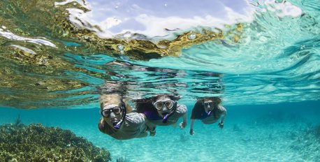 Snorkeling & Diving