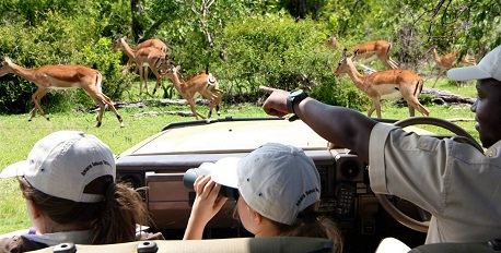 Family Safaris
