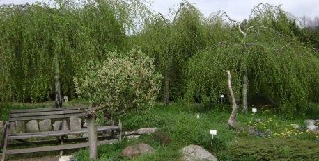 Botanical Garden in Powsin