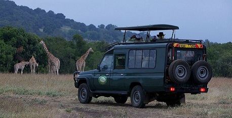 Safari Drive