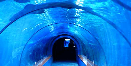 National Marine Aquarium