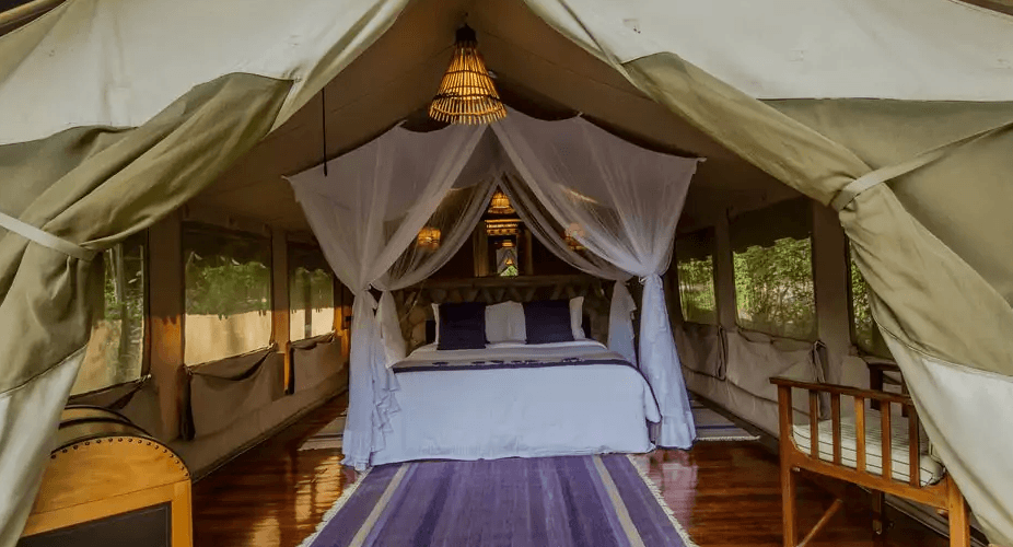 Standard Tent (Double)