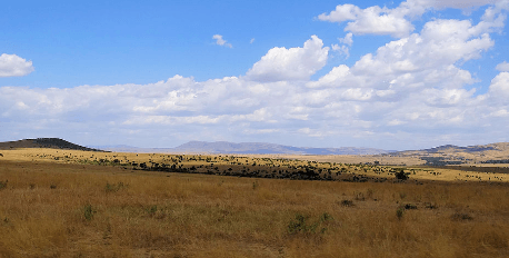 Maasai Mara Trip Day 