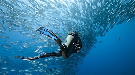 Diving and Snorkelling 