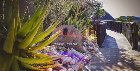 The Wellness Village