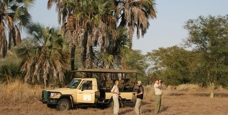 Game Drive & Eco-Experience