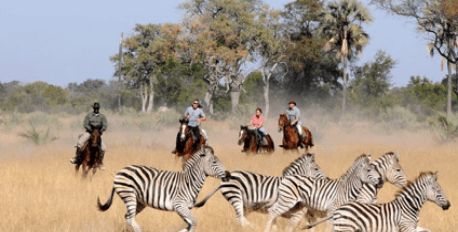 Horseback Safari 