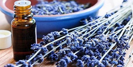 Herbal Lavender Repair