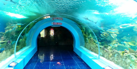 Fakieh Aquarium