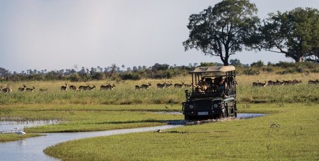 Full-Day Game Drive & Picnic
