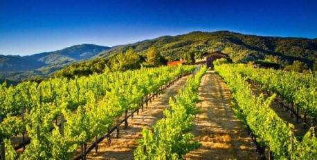  Carmel Valley Wineries 