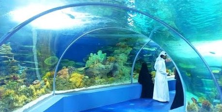 Fakieh Aquarium  