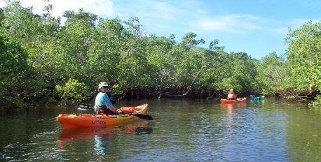 Mangrove Canoe Trips