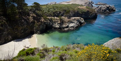 Guided Hike at Point Lobos
