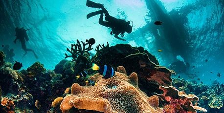 Underwater Marvels